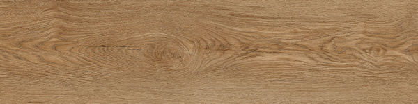 10117413-7e8c-11f0-bb98-000c298441c7