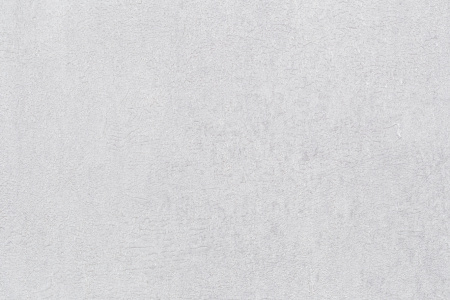 CAT_MACRO_PHOTOri_VV71921-40_(3)