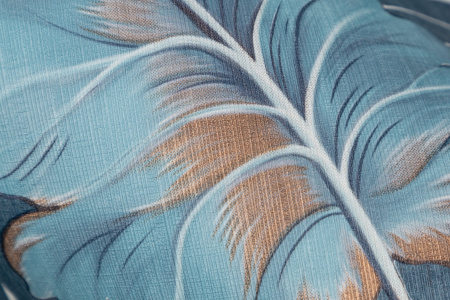 CAT_MACRO_PHOTOfI_HC72241-66_(5)