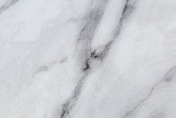 CAT_MACRO_PHOTOeI_HC72319-14_(3)