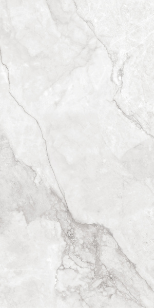 44953a54-b17d-11ef-bbf3-00505693d103 44953a54-b17d-11ef-bbf3-00505693d103