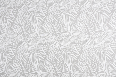 CAT_MACRO_PHOTOxi_HC31187-14_(1)