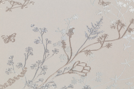 CAT_MACRO_PHOTOkI_HC72414-20_(2)