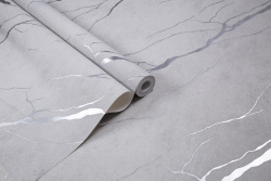 CAT_MACRO_PHOTOmi_HC72604-14_(5)