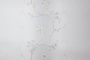 PHOTOaInt_HC31235-24