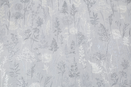 CAT_MACRO_PHOTOkI_PL72354-41_(1)