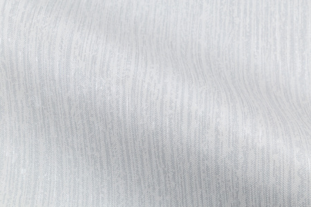 CAT_MACRO_PHOTOsI_PL81593-41_(4)