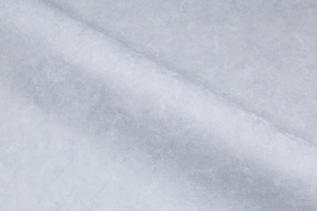 CAT_MACRO_PHOTOmI_HC72173-56_(8)