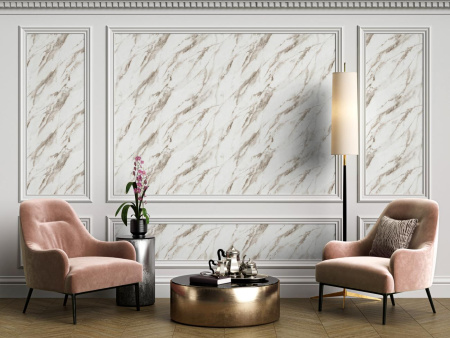 PHOTOjInt_HC72319-12