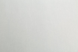 CAT_MACRO_PHOTOoImg_SP71992-41_(2)