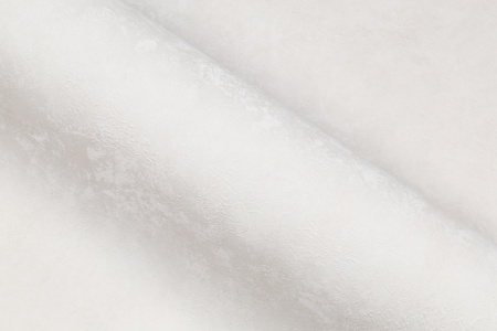 CAT_MACRO_PHOTOaI_HC72173-12_(4)