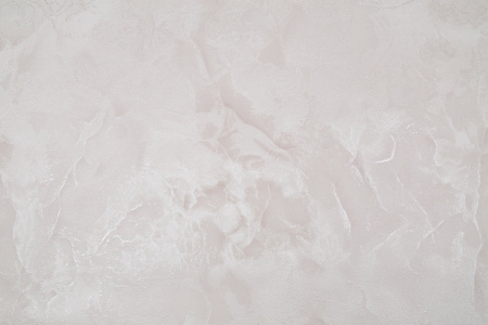 CAT_MACRO_PHOTOmI_PL72359-12_(1)