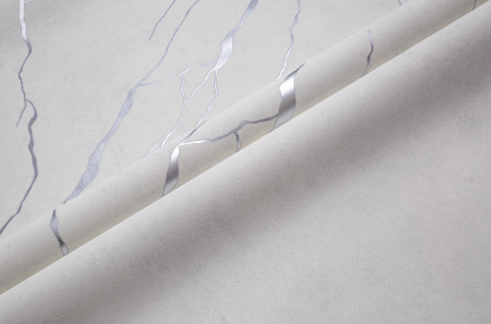 CAT_MACRO_PHOTOdimg_HC72604-12oHC72605-12_(2)