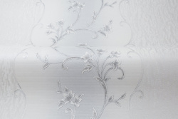 CAT_MACRO_PHOTOiI_HC31235-14_(4)