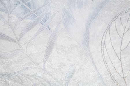 CAT_MACRO_PHOTOmI_HC72437-46_(4)