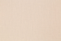 CAT_MACRO_PHOTOiI_PL72947-32_(2)