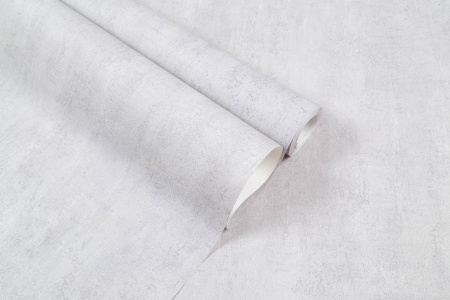 CAT_MACRO_PHOTOfi_VV71921-41_(6)