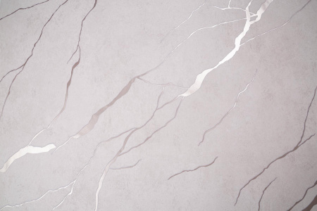 CAT_MACRO_PHOTOqi_HC72604-22_(1)