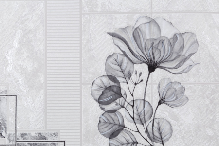 CAT_MACRO_PHOTOqI_HC11054-14_(2)