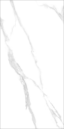 17e0ff5c-b183-11ef-bbf3-00505693d103