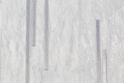 CAT_MACRO_PHOTOdI_SL72198-44_(2)