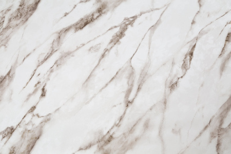 CAT_MACRO_PHOTOdI_HC72319-12_(1)