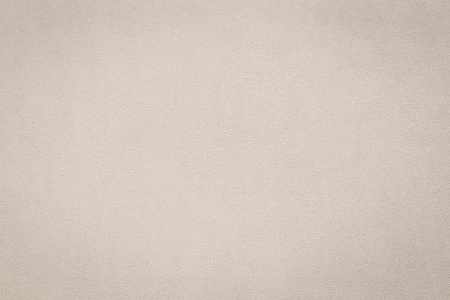 CAT_MACRO_PHOTOfI_HC72581-22_(2)