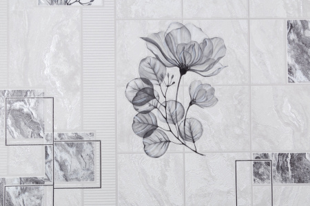 CAT_MACRO_PHOTOgI_HC11054-14_(1)