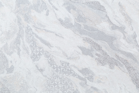 CAT_MACRO_PHOTOlI_HC72427-41_(3)