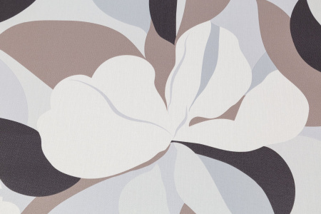 CAT_MACRO_PHOTOwI_PL72419-83_(2)