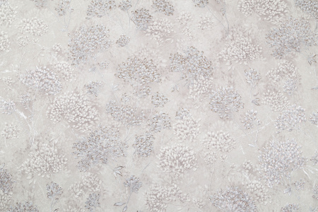 CAT_MACRO_PHOTOyi_PL72155-28_(1)