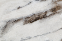 CAT_MACRO_PHOTOkI_HC72319-24_(2)