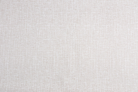 CAT_MACRO_PHOTOji_HC31188-18_(1)