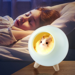 5c6ce7247ee0915519a38542963ca725