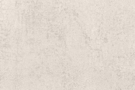 CAT_MACRO_PHOTOwi_VV71921-24_(3)