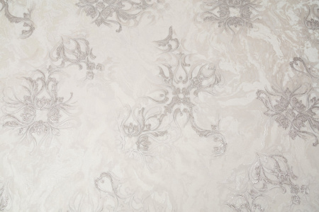 CAT_MACRO_PHOTOkI_PL72374-21_(2)