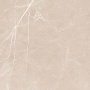 Palomino-2