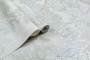CAT_MACRO_PHOTOhImg_PL72728-27vPL72729-14_(2)