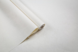 CAT_MACRO_PHOTOxI_HC72581-11_(5)