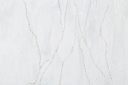 CAT_MACRO_PHOTOcI_SL72199-14_(3)