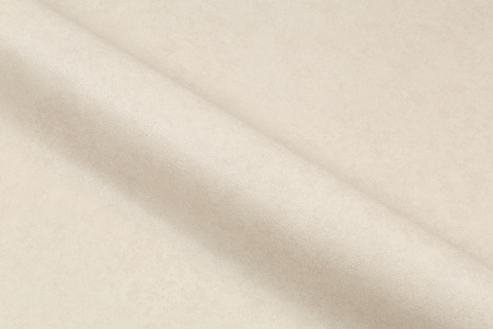 CAT_MACRO_PHOTOxI_HC72178-12_(5)