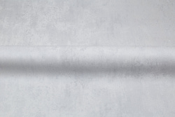 CAT_MACRO_PHOTOhI_PL72355-41_(3)