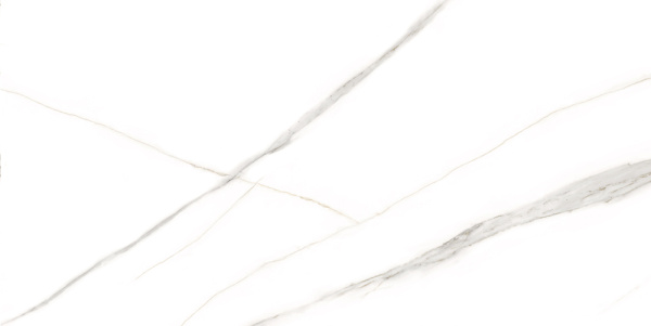 ed8fb015-e353-11ed-bbb3-00505693d103