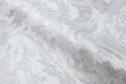 CAT_MACRO_PHOTOyI_HC72427-41_(5)