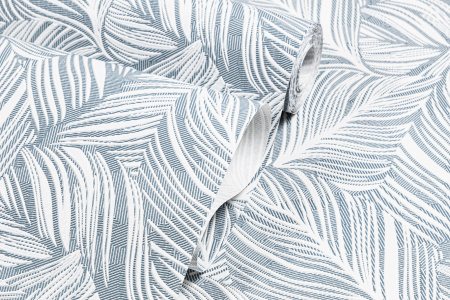 CAT_MACRO_PHOTOqi_HC31187-41_(7)