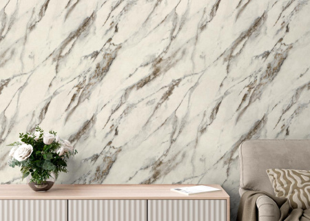 PHOTOrInt_HC72319-24