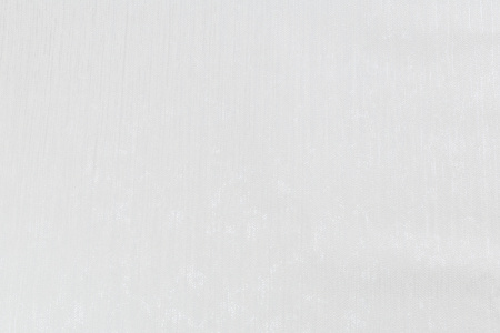 CAT_MACRO_PHOTOrI_PL81593-11_(1)