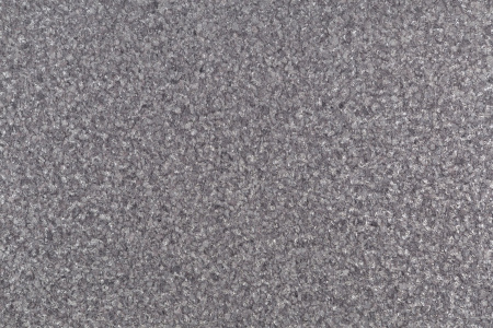 CAT_MACRO_PHOTOyI_PL72222-44_(2)