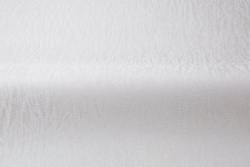 CAT_MACRO_PHOTOnI_HC31236-24_(3)