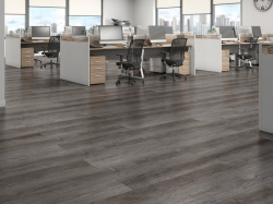 tmp0d5bf2c450f30016e20bb2be9ac82883